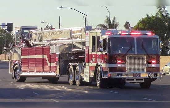Garden Grove Dog's Bathtub Misadventure Ends with Rescue by Orange County Firefighters