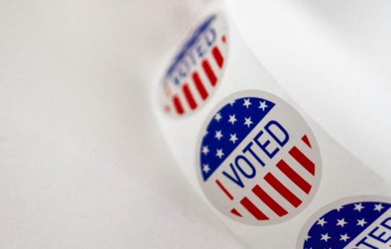 Georgia GOP Boots First Vice Chairman Brian Pritchard Over Illegal Voting History Amid Election Integrity Push