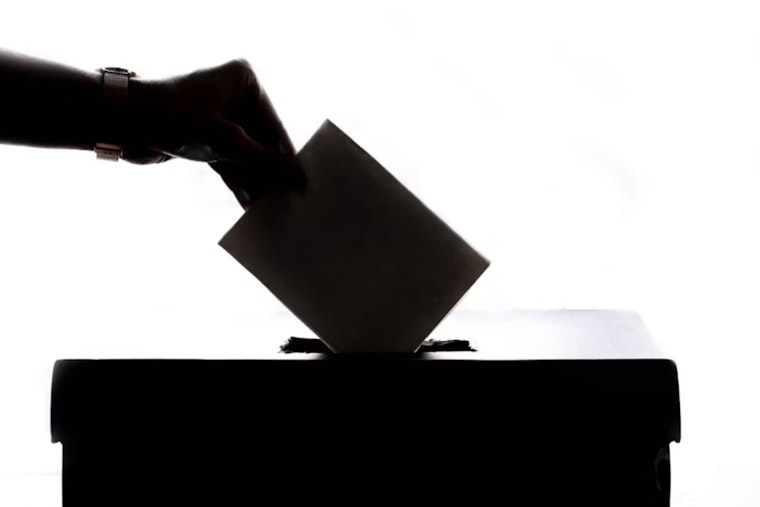Georgia GOP Ousts Officer Found to Have Voted Illegally Amidst Election Integrity Crusade
