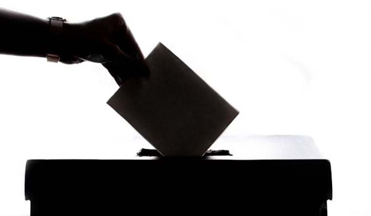 Georgia GOP Ousts Officer Found to Have Voted Illegally Amidst Election Integrity Crusade