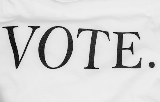 Georgia's Primary Election Sees Judicial Jousting and Political Power Plays Amid Low Early Turnout