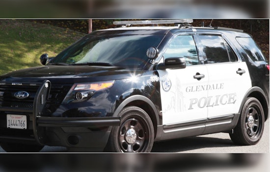 Glendale Police Apprehend 24-Year-Old Suspect in Series of Commercial Burglaries