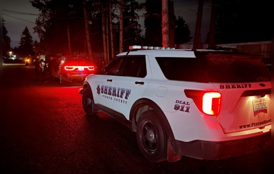 Graham Woman Arrested for Allegedly Killing Boyfriend with Pellet Gun in Domestic Dispute
