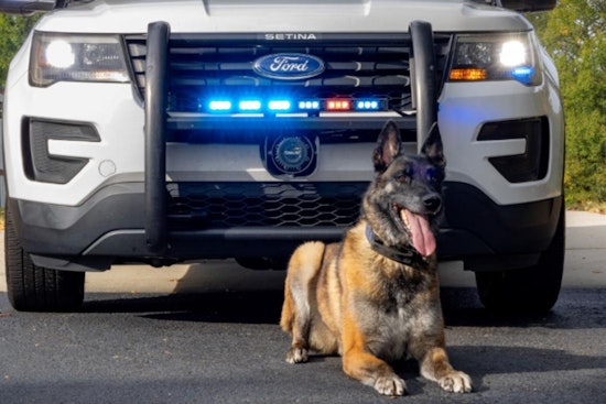 Gwinnett County Police K-9 Jekel Retires Due to Medical Issues After Illustrious Service Career