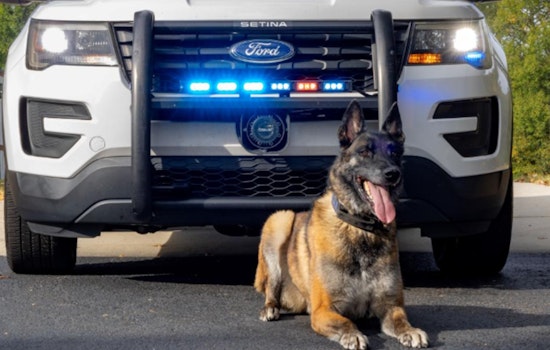 Gwinnett County Police K-9 Jekel Retires Due to Medical Issues After Illustrious Service Career