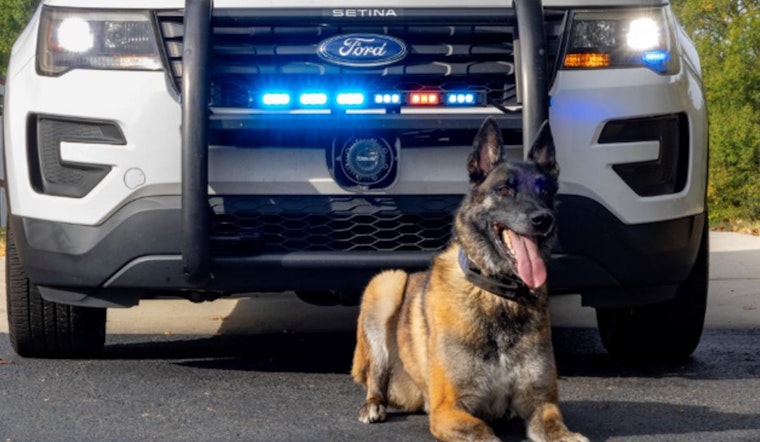 Gwinnett County Police K-9 Jekel Retires Due to Medical Issues After Illustrious Service Career