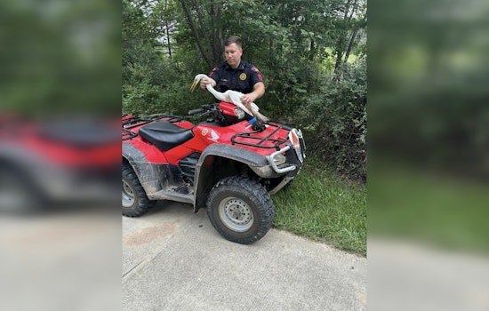 Harris County Sergeant Rescues Great Egret from Fishing Line in Cypress Creek Park Act of Mercy