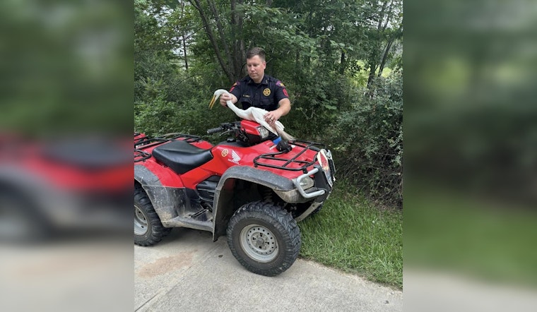 Harris County Sergeant Rescues Great Egret from Fishing Line in Cypress Creek Park Act of Mercy