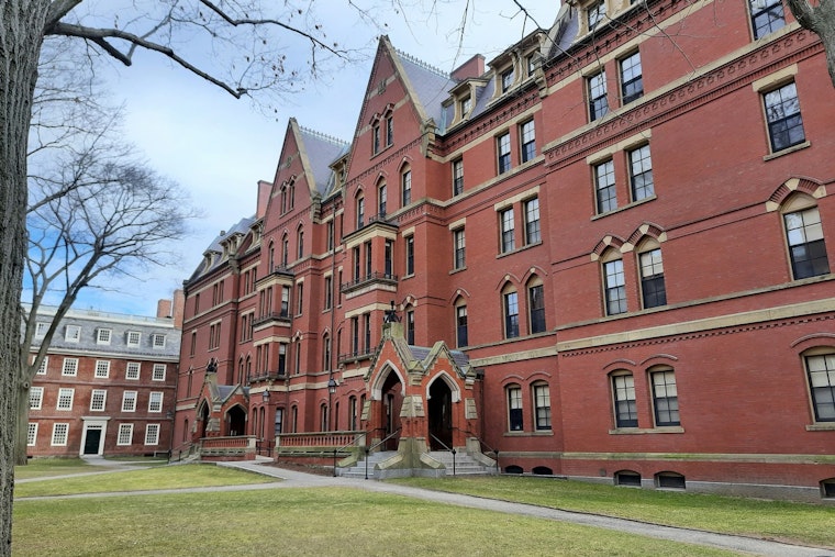 Harvard and Google's Brainiacs Unveil Mind-Blowing Neural Map, Offering Uncharted Peek Into Human Noggin!