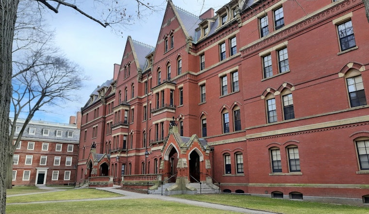 Harvard and Google's Brainiacs Unveil Mind-Blowing Neural Map, Offering Uncharted Peek Into Human Noggin!