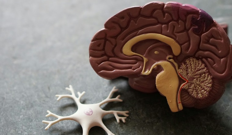 Harvard Study Suggests Genetic Link to Alzheimer's, APOE4 Variant Key Factor