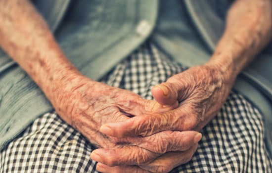Healey-Driscoll Administration Launches $2.4M Grant to Enhance Day Programs for Massachusetts Seniors