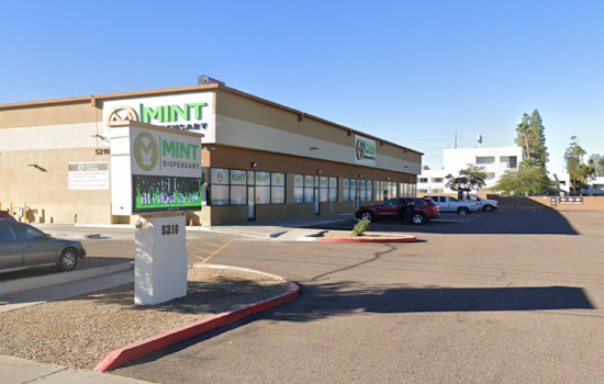 High Stakes Lowered, Feds Sweeten the Pot by Reclassifying Marijuana, Phoenix Businesses to Harvest Tax Break Bonanza