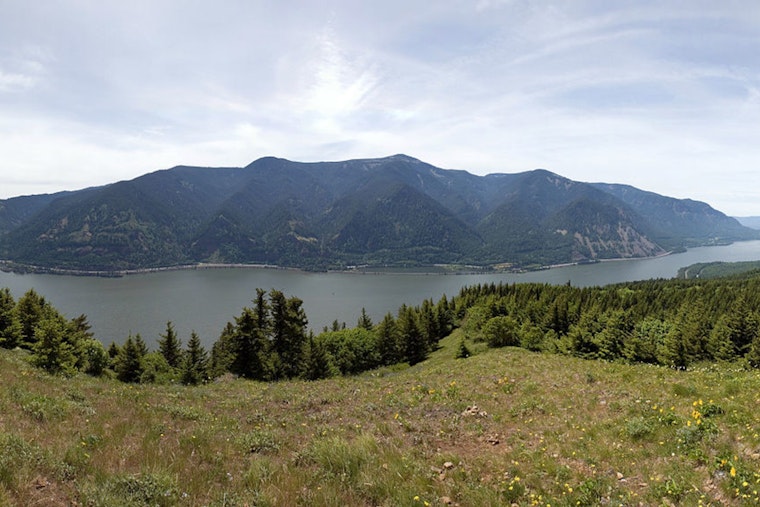 Hillsboro Hiker Stabilized After 300-Foot Fall on Dog Mountain Trail in Washington