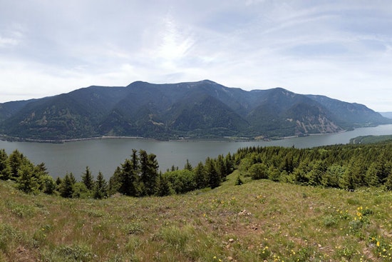 Hillsboro Hiker Stabilized After 300-Foot Fall on Dog Mountain Trail in Washington