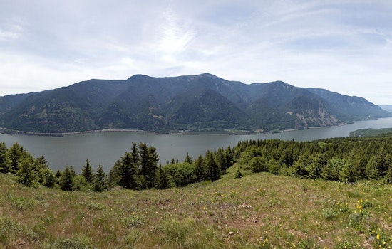 Hillsboro Hiker Stabilized After 300-Foot Fall on Dog Mountain Trail in Washington