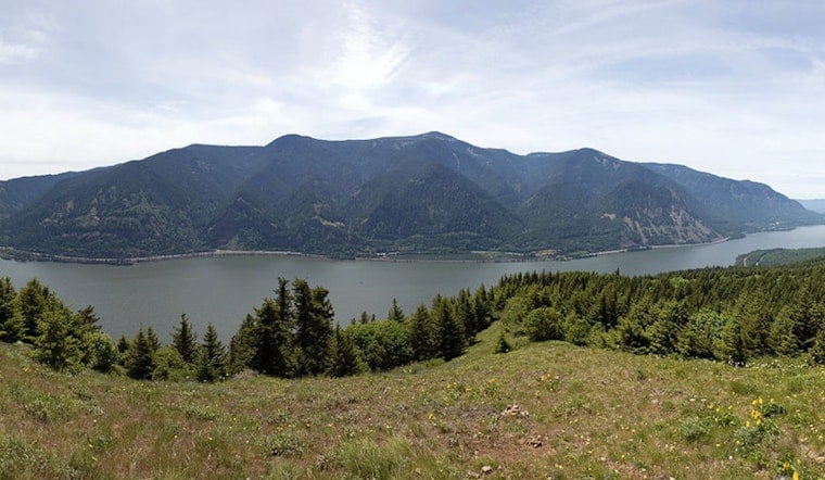 Hillsboro Hiker Stabilized After 300-Foot Fall on Dog Mountain Trail in Washington