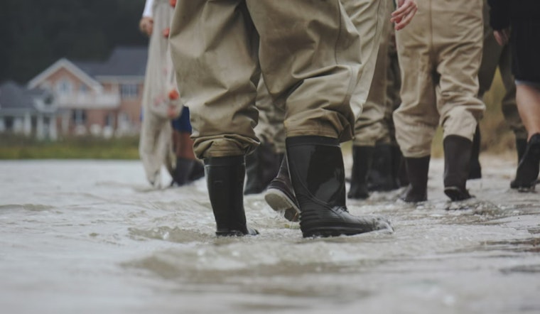 Houston Sees Sunshine After Devastating Flood, Recovery Efforts Begin as Waters Recede