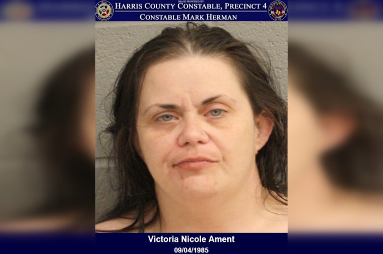 Houston Woman Accused of Assaulting Two Deputies and Aggravated Assault After Disturbance Call