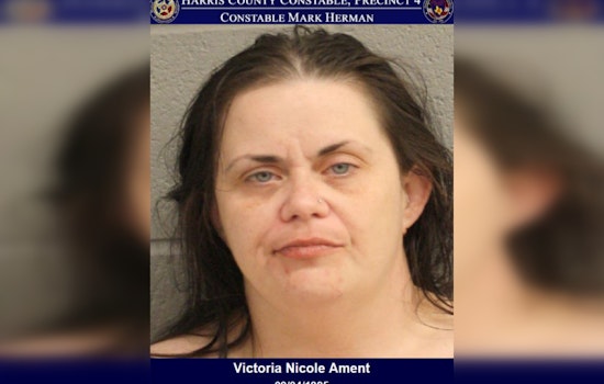 Houston Woman Accused of Assaulting Two Deputies and Aggravated Assault After Disturbance Call