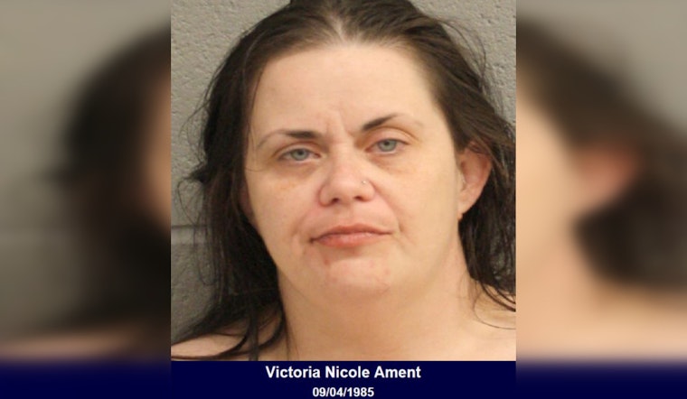 Houston Woman Accused of Assaulting Two Deputies and Aggravated Assault After Disturbance Call