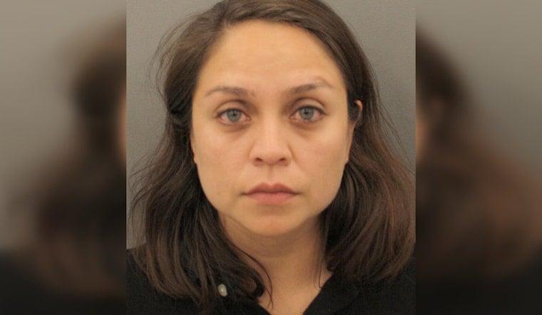 Houston Woman Charged in Fatal Hit-and-Run Crash on East Loop South