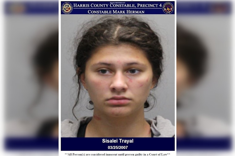 Houston Woman Charged with Assault and Criminal Mischief in Violent Outburst