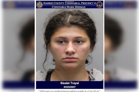 Houston Woman Charged with Assault and Criminal Mischief in Violent Outburst