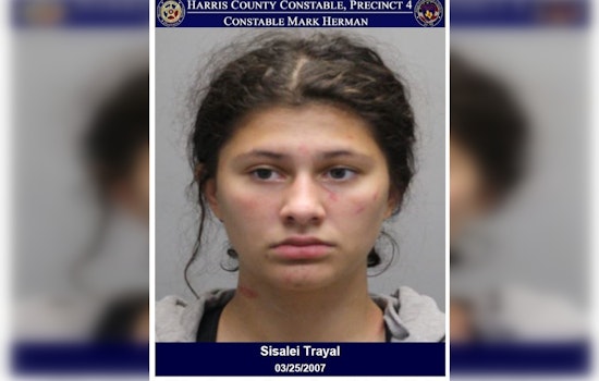 Houston Woman Charged with Assault and Criminal Mischief in Violent Outburst