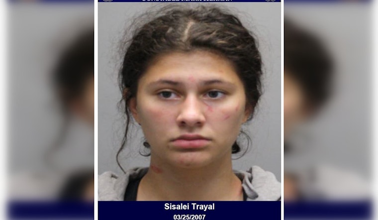 Houston Woman Charged with Assault and Criminal Mischief in Violent Outburst