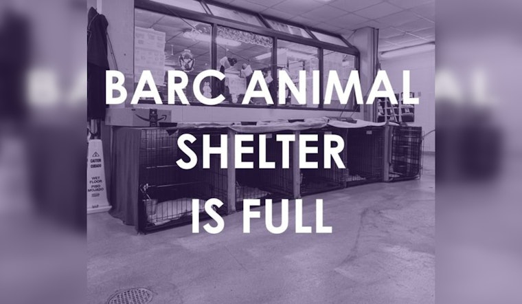 Houston's BARC Animal Shelter Reaches Capacity Post-Storms, Adoption Fees Waived to Encourage Urgent Pet Home Placements
