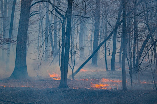 Illinois Authorities Advocate for Controlled Burns to Preserve Ecosystems, Launch 'Map Your Burn' Initiative