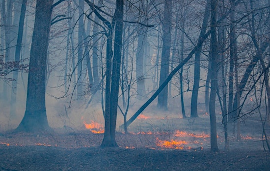 Illinois Authorities Advocate for Controlled Burns to Preserve Ecosystems, Launch 'Map Your Burn' Initiative