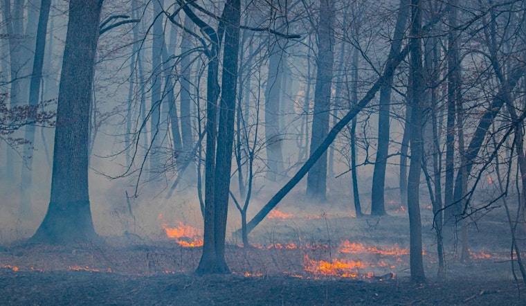Illinois Authorities Advocate for Controlled Burns to Preserve Ecosystems, Launch 'Map Your Burn' Initiative