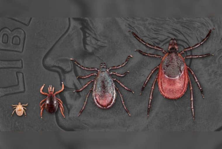 Illinois Health Officials Launch Lyme Disease Awareness Campaign with "Fight the Bite" Mantra