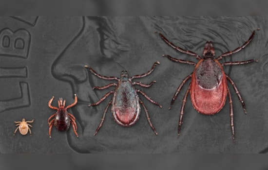 Illinois Health Officials Launch Lyme Disease Awareness Campaign with "Fight the Bite" Mantra
