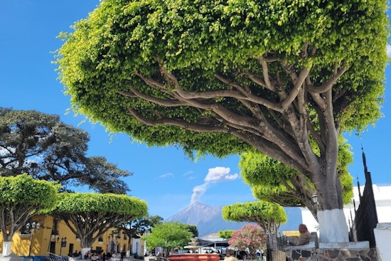 International Experts Gather in Guatemala to Forge Volcanic Safety Strategies, Washingtonians to Learn from Global Insights
