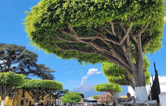 International Experts Gather in Guatemala to Forge Volcanic Safety Strategies, Washingtonians to Learn from Global Insights