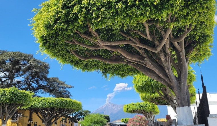 International Experts Gather in Guatemala to Forge Volcanic Safety Strategies, Washingtonians to Learn from Global Insights
