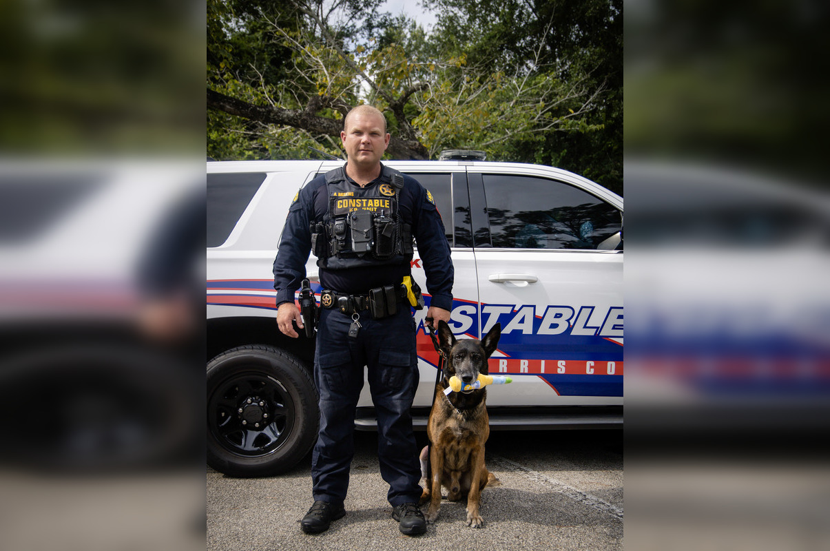 K9 Hero Mitch Takes a Bite Out of Crime, Capturing Suspected Car Thief