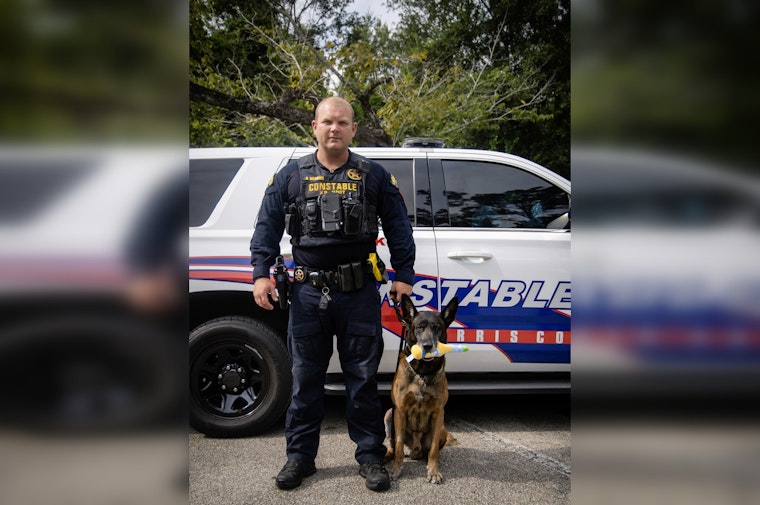 K9 Hero Mitch Takes a Bite Out of Crime, Capturing Suspected Car Thief After Dramatic 49-Mile Chase in Harris County