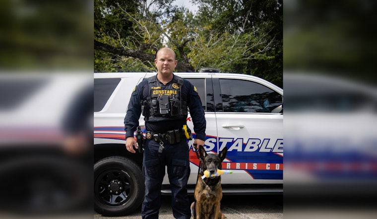 K9 Hero Mitch Takes a Bite Out of Crime, Capturing Suspected Car Thief After Dramatic 49-Mile Chase in Harris County