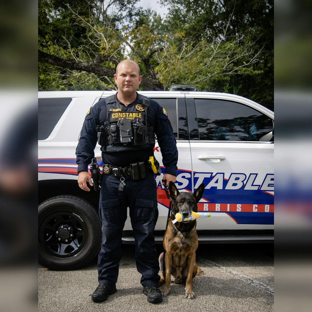K9 Hero Mitch Takes a Bite Out of Crime, Capturing Suspected Car Thief After Dramatic 49-Mile Chase in Harris County