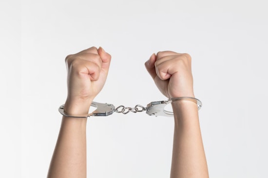 Kirby 'Texas Sheepdog' YouTuber Arrested on Child Pornography Charges