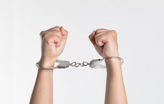 Kirby 'Texas Sheepdog' YouTuber Arrested on Child Pornography Charges