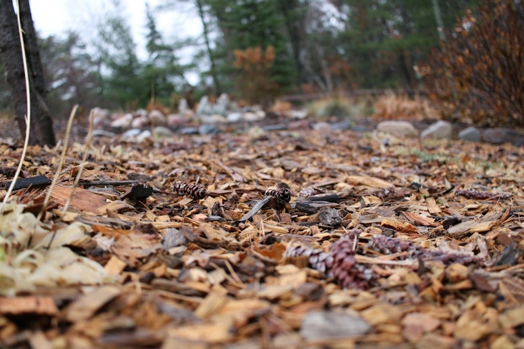 L.A. County Supervisor Seeks Crackdown on Illegal Mulch Dumping in Antelope Valley