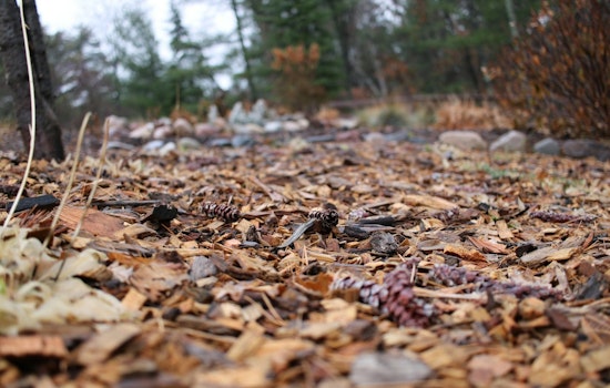 L.A. County Supervisor Seeks Crackdown on Illegal Mulch Dumping in Antelope Valley