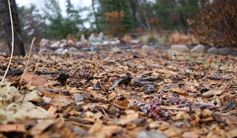 L.A. County Supervisor Seeks Crackdown on Illegal Mulch Dumping in Antelope Valley