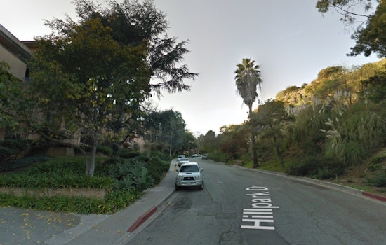LAFD Rapidly Extinguishes Palm Tree Fire in Hollywood Hills Sparked by Dumpster