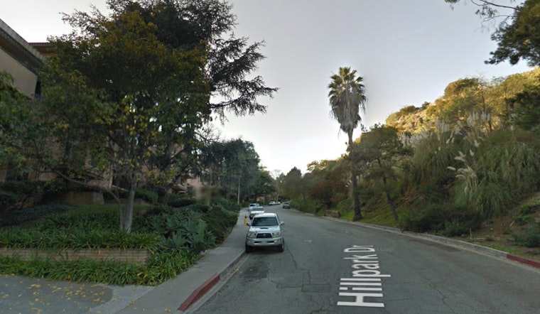 LAFD Rapidly Extinguishes Palm Tree Fire in Hollywood Hills Sparked by Dumpster